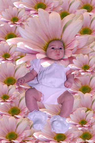 <a href="/node/468">BABY PORTRAIT</a>